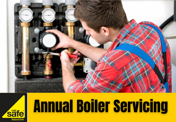 annual boiler servicing Snodland